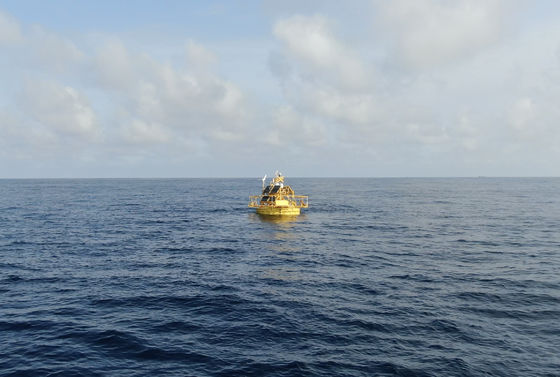 Marine Mammal China Monitoring Buoys Water Quality Observation