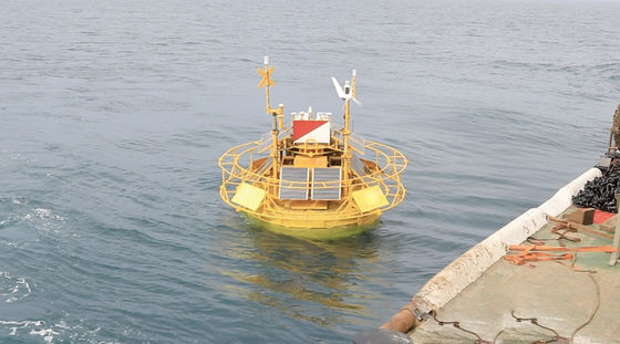 Real-Time Monitoring Data Buoys and Platforms